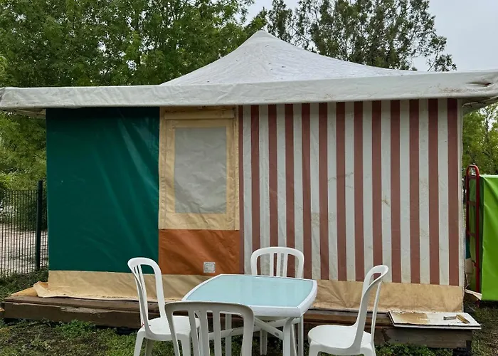 Campsite Animal King *