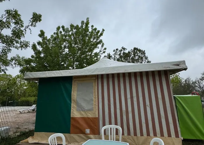 Animal King Esnandes