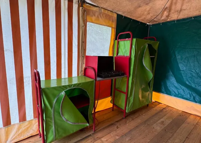 Campsite Animal King