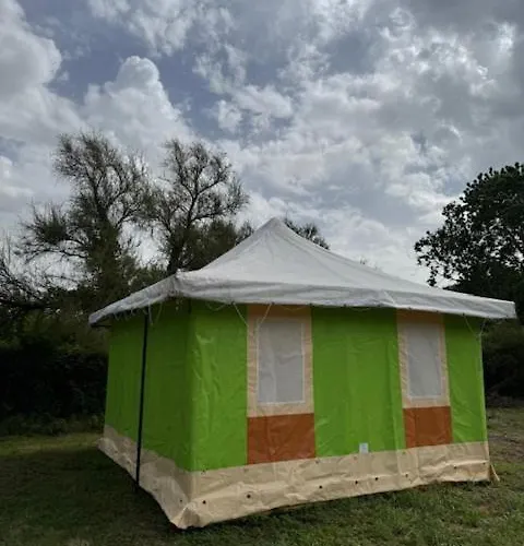 Animal King Campsite