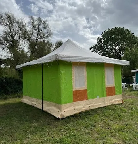 Campsite Animal King