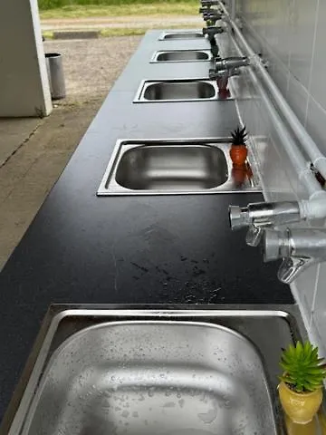 Animal King Esnandes