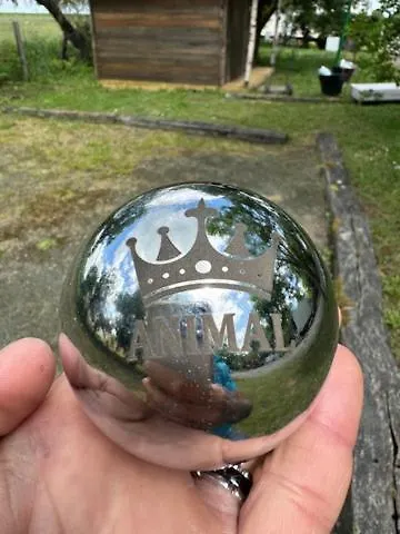 Animal King * Esnandes