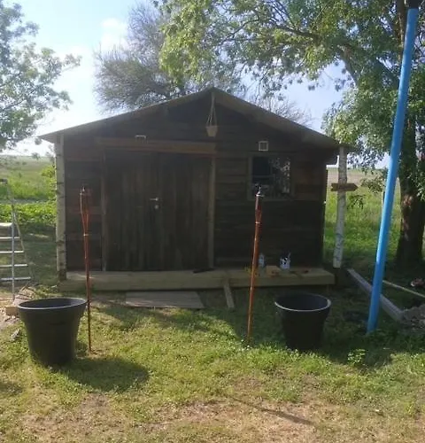 Campsite Animal King *