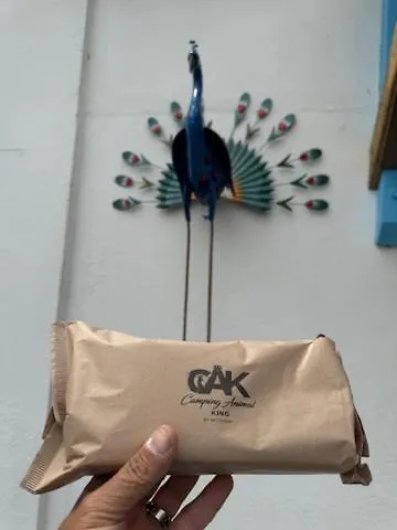 Campsite Animal King Esnandes