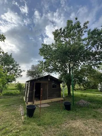 Animal King * Esnandes