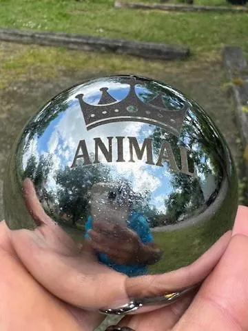 Campsite Animal King