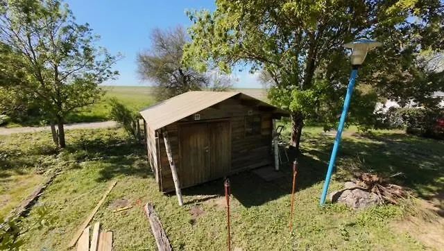 Animal King Esnandes