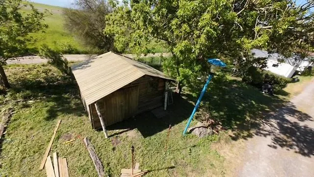 Animal King * Esnandes