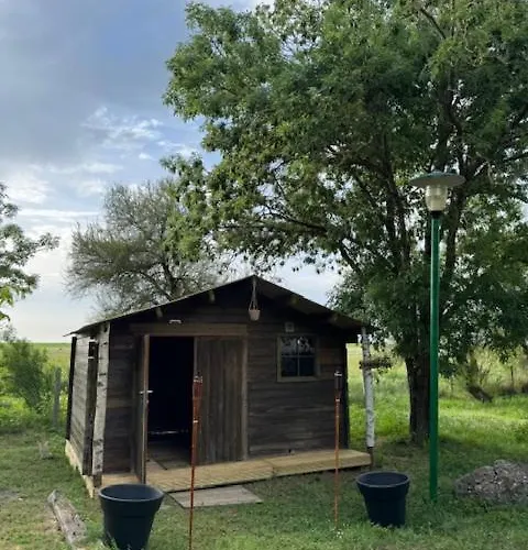 Animal King Campsite