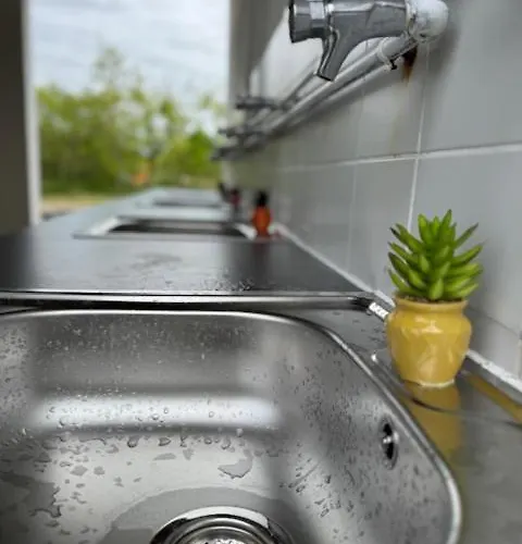 Animal King Campsite *