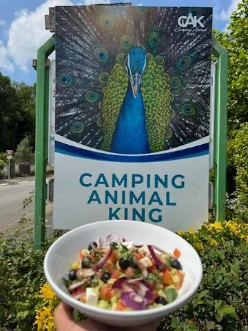 Campsite Animal King *