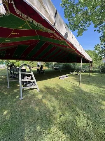 Animal King Esnandes