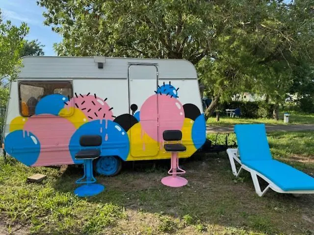 Campsite Animal King