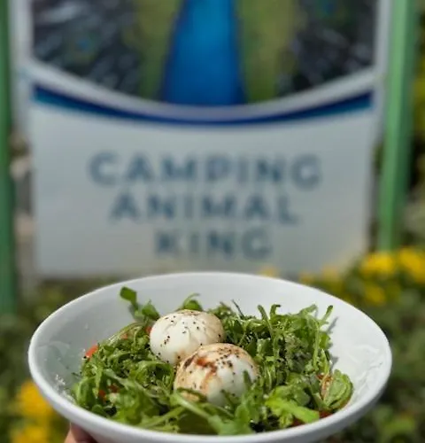 Animal King Campsite Esnandes