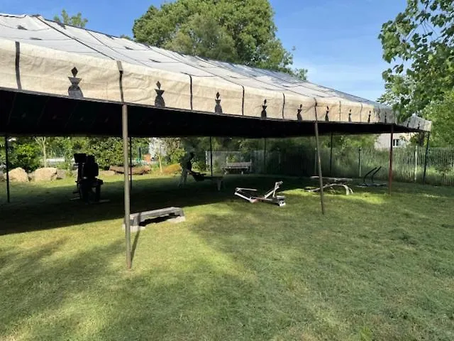 Campsite Animal King *