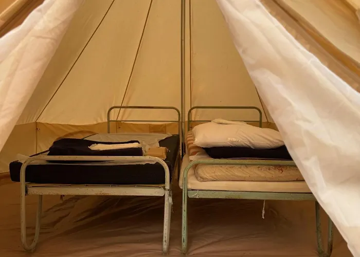 Animal King Campsite Esnandes