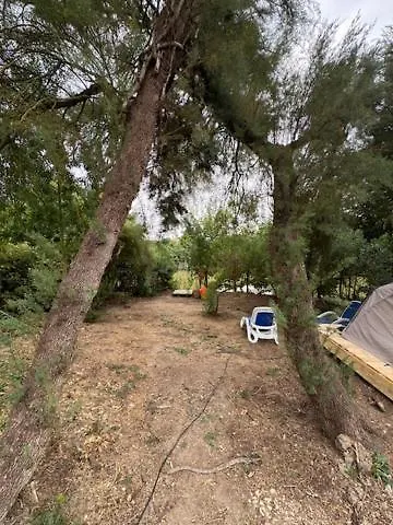 Animal King Esnandes