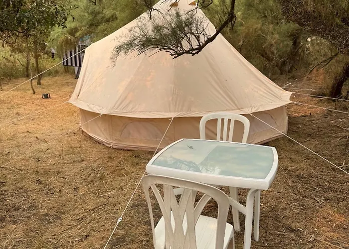 Animal King * Esnandes