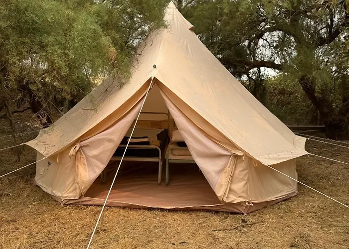 Animal King Campsite