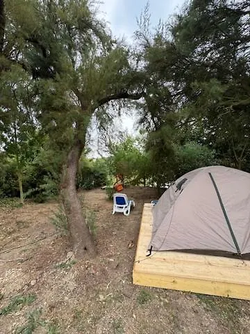 Campsite Animal King