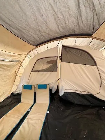 Campsite Animal King *