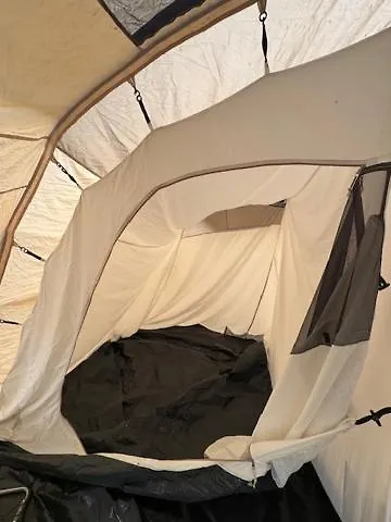 Animal King * Esnandes