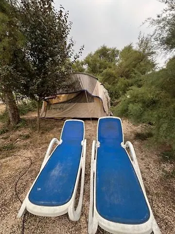 Animal King Esnandes